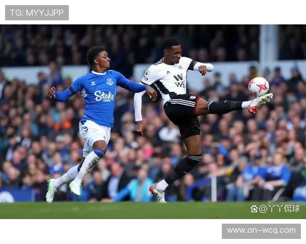 埃弗顿2-0富勒姆,太妃糖主场延续不败金身