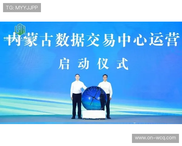 数据运营中心成立 专业化运营数据资产